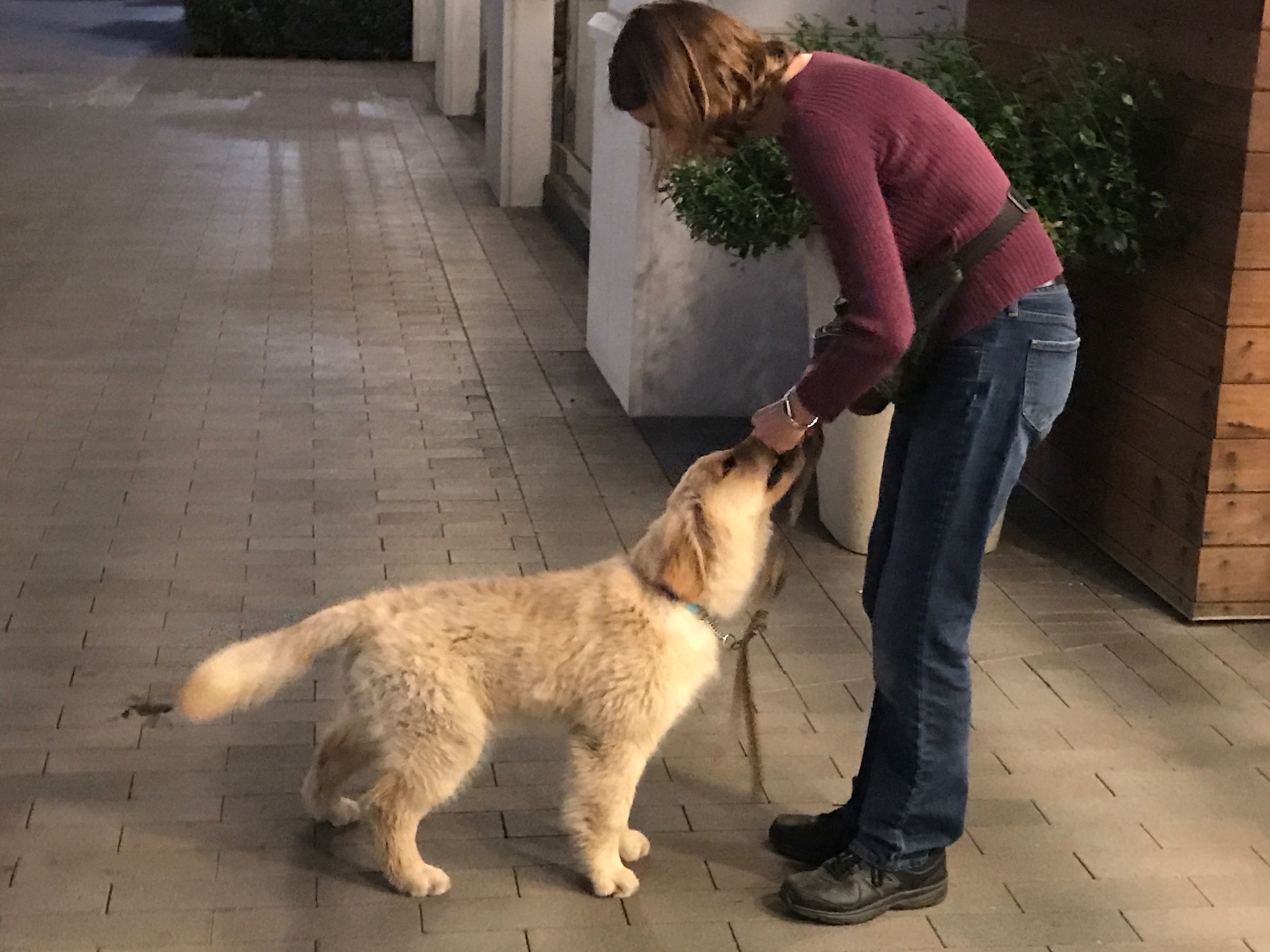 March 2017 "The Village" Walk