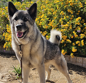 Screenshot 2025-11-24 at 9.42.49 AM.png