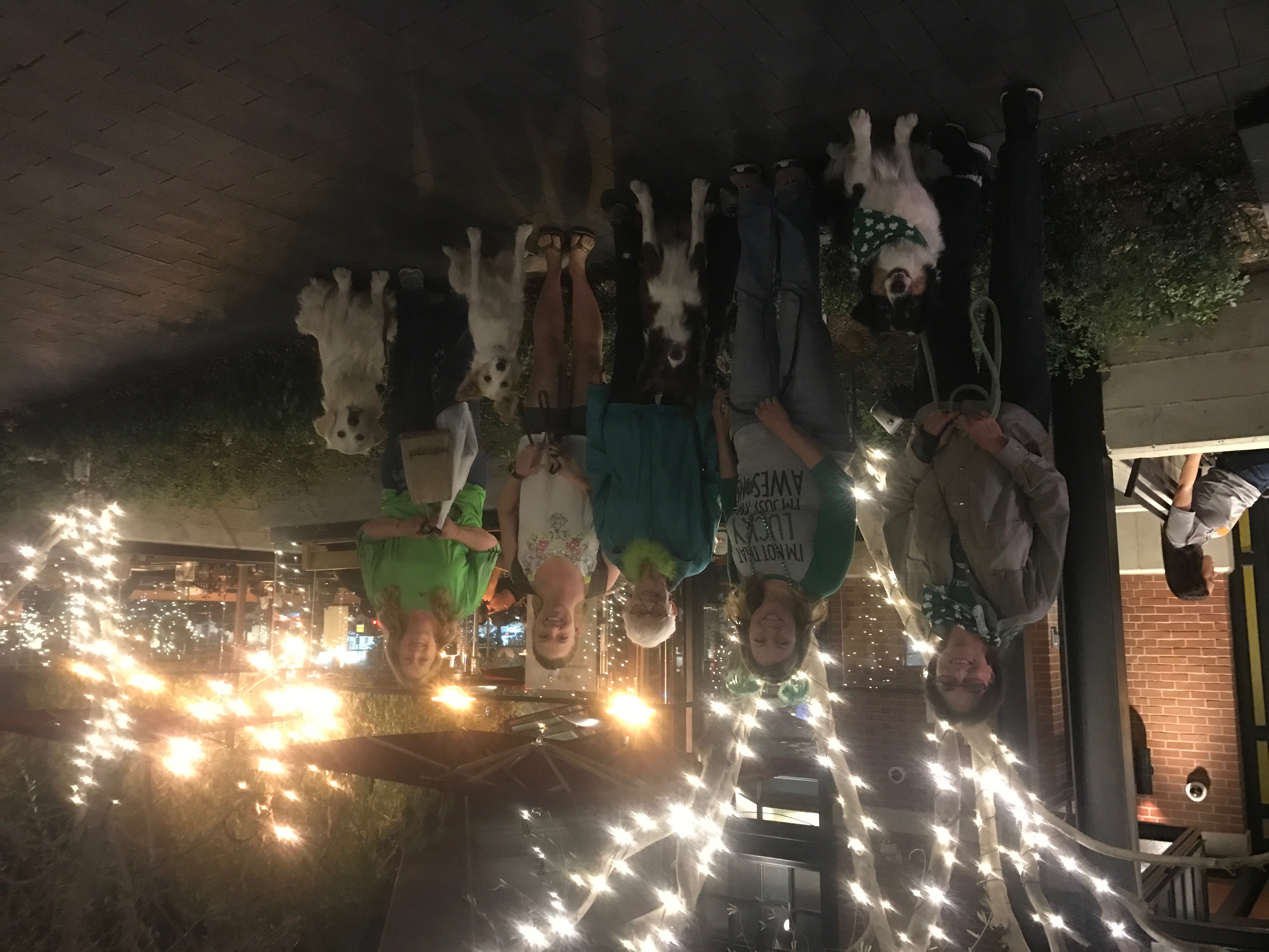 March 2017 "The Village" Walk