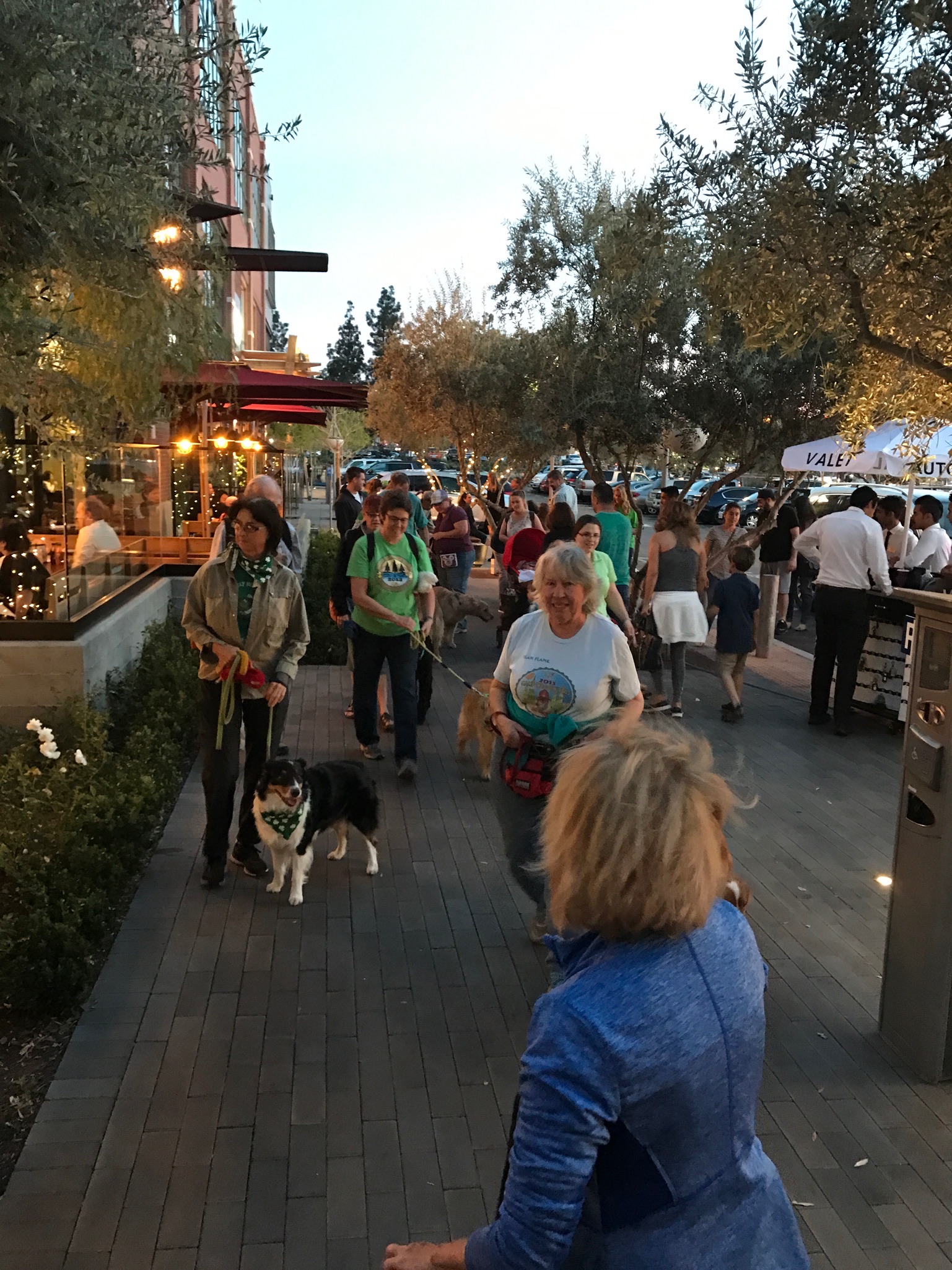 March 2017 "The Village" Walk