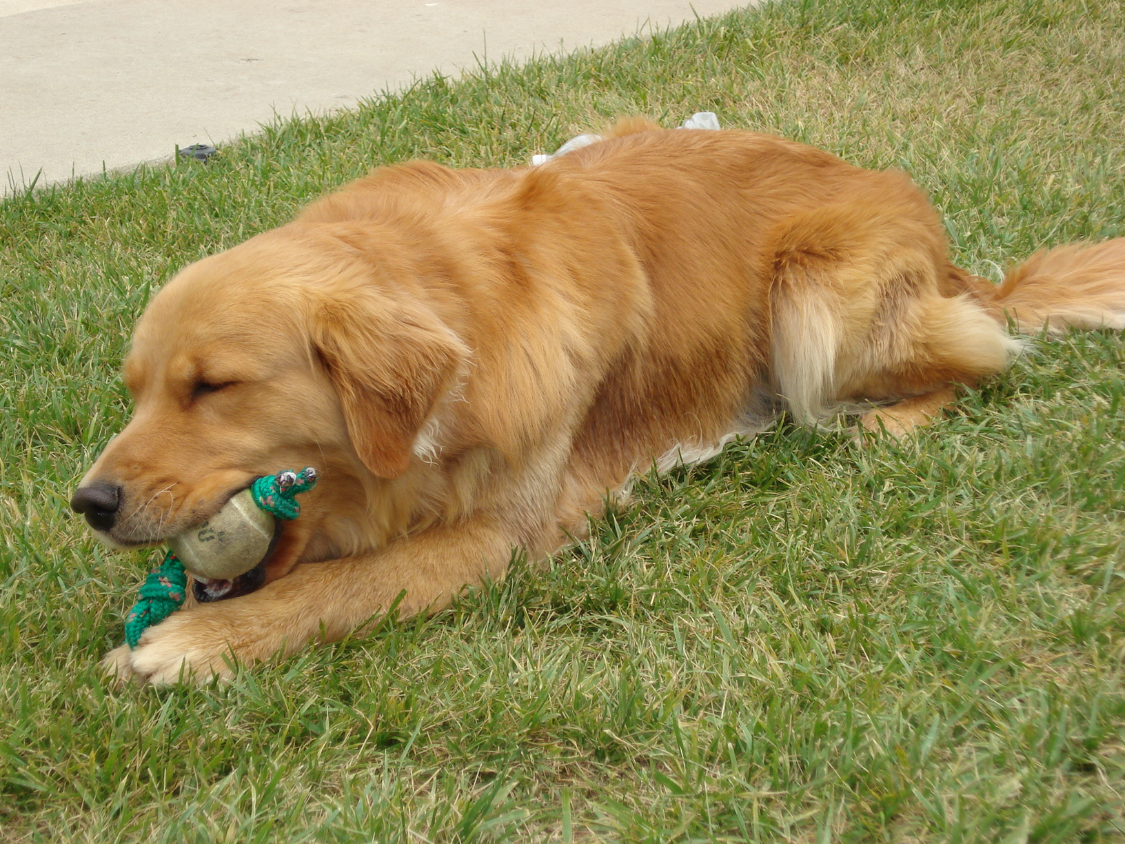 Golden Boy