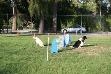 Nugget & Flo Walberg BC