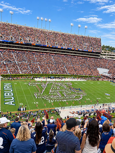 Auburn_edited_edited.jpg