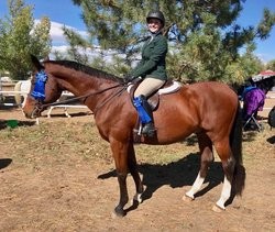 Annotation 2019-11-15 125427