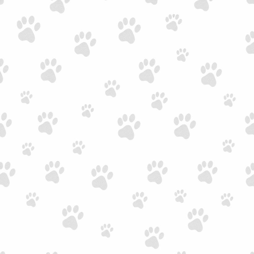I want a neutral background that is faded to go along with the dog theme_edited.jpg
