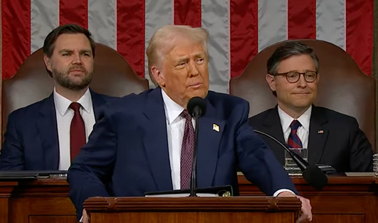 a clear layout of all the things that USA citizens should be afraid of and a few cracks in the mask showing the underlying goal of the current president