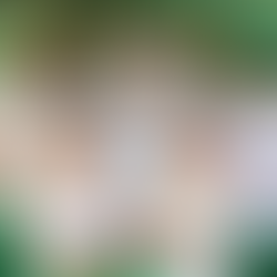 [Video] Tautalatasi Tuato'o Alofau Elementary School Christmas Caroling!