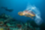 AdobeStock_261063853.jpeg