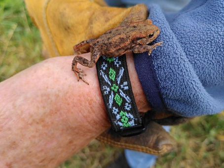 Scything at Forest Side