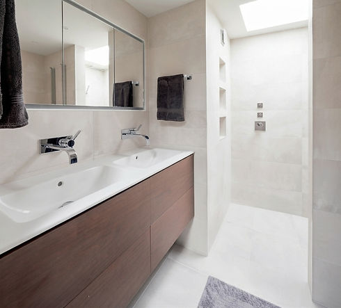 Bathroom with Skylight.jfif
