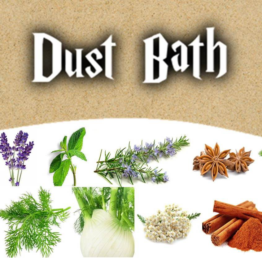 Dust Bath Mix In Protect your Chickens from mites SerenitySprouts