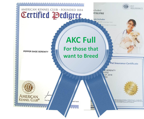 Certified Pedigree Akc Papers For Puppies AKC Certification