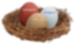 Thumbnail: Starter Pullet: Olive Egger