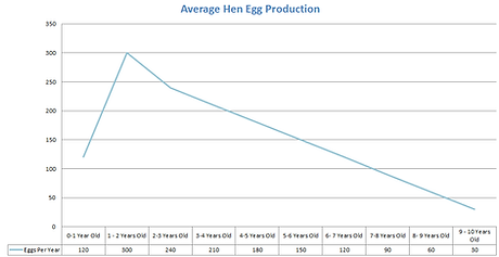 average hen egg produciton.png