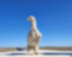 Thumbnail: Starter Pullet: Brahma Surprise Color