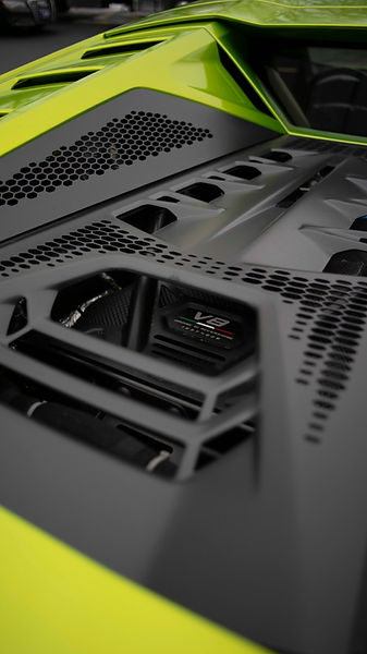 Lambo for site_8.jpg