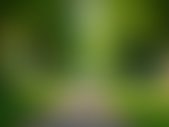 Natural Healing: Life Improvements Through Natural Healing