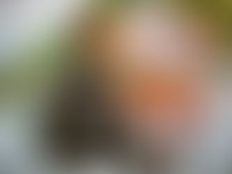 7 lỗi thường gặp khi thiết lập mục tiêu cuộc đời