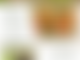 MPOA Weekly Update March 29, 2024