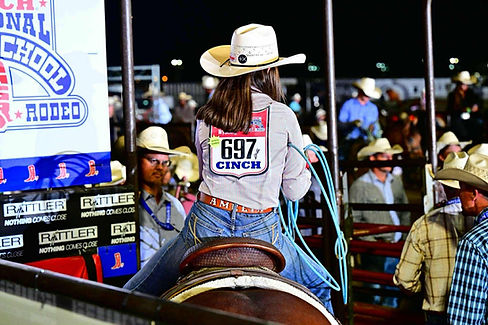 Breakaway Saddle Franco.jpg