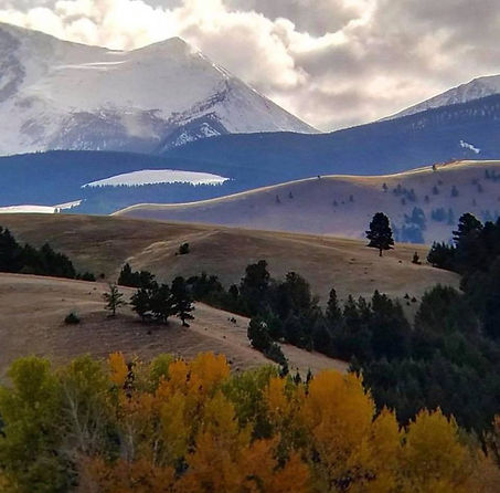 landscape resized.jpg