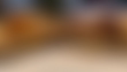 Scaccia (Italian 'Lasagne Bread')