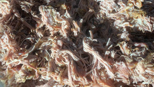 Smoked Pulled Pork