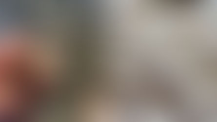 Lake Champlain Sea Grant Announces New Research Projects