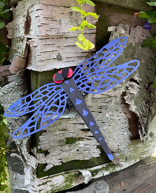 Dragonfly on birchbark.jpeg