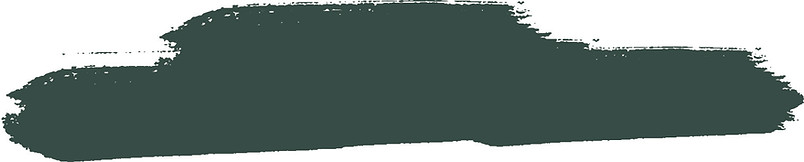 BRUSH SOMBRE VERT copie.jpg