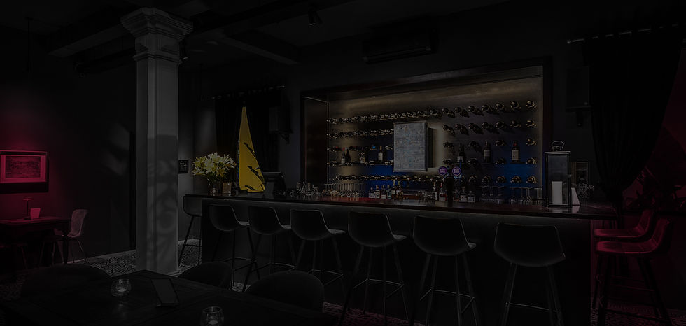 Vincognito Background website.jpg