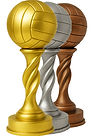 Badge - 1st 2nd 3rd Volleyball.jpg