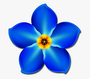 133-1332045_forget-me-not-flower-png.png