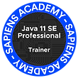 SA_Insignia_Java_Trainer.png