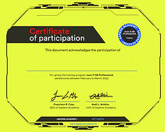 Participation_Java_Trainer.jpg