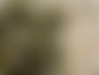 美と健康の新習慣に。CARE ONこだわりのよもぎ蒸し×高濃度水素ケア
