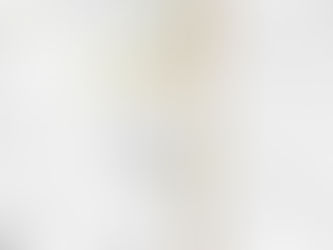 Newsbrief 80 15 February 2021