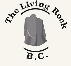 Untitled design (26).png