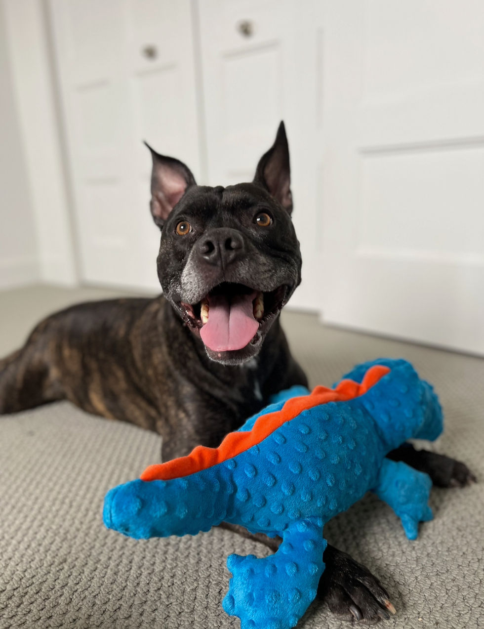 Armani avec son jeu favori