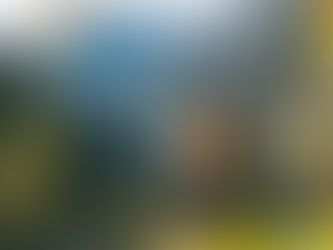 women walking in nature