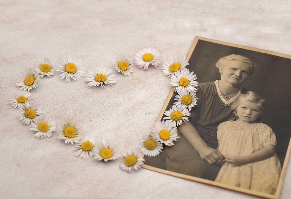 Vintage photo with daisy flowers