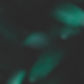 GREEN LEAVES