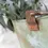 Thumbnail: Bathwick Scuttle With Beading