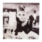 Audrey Hepburn Canvas Print