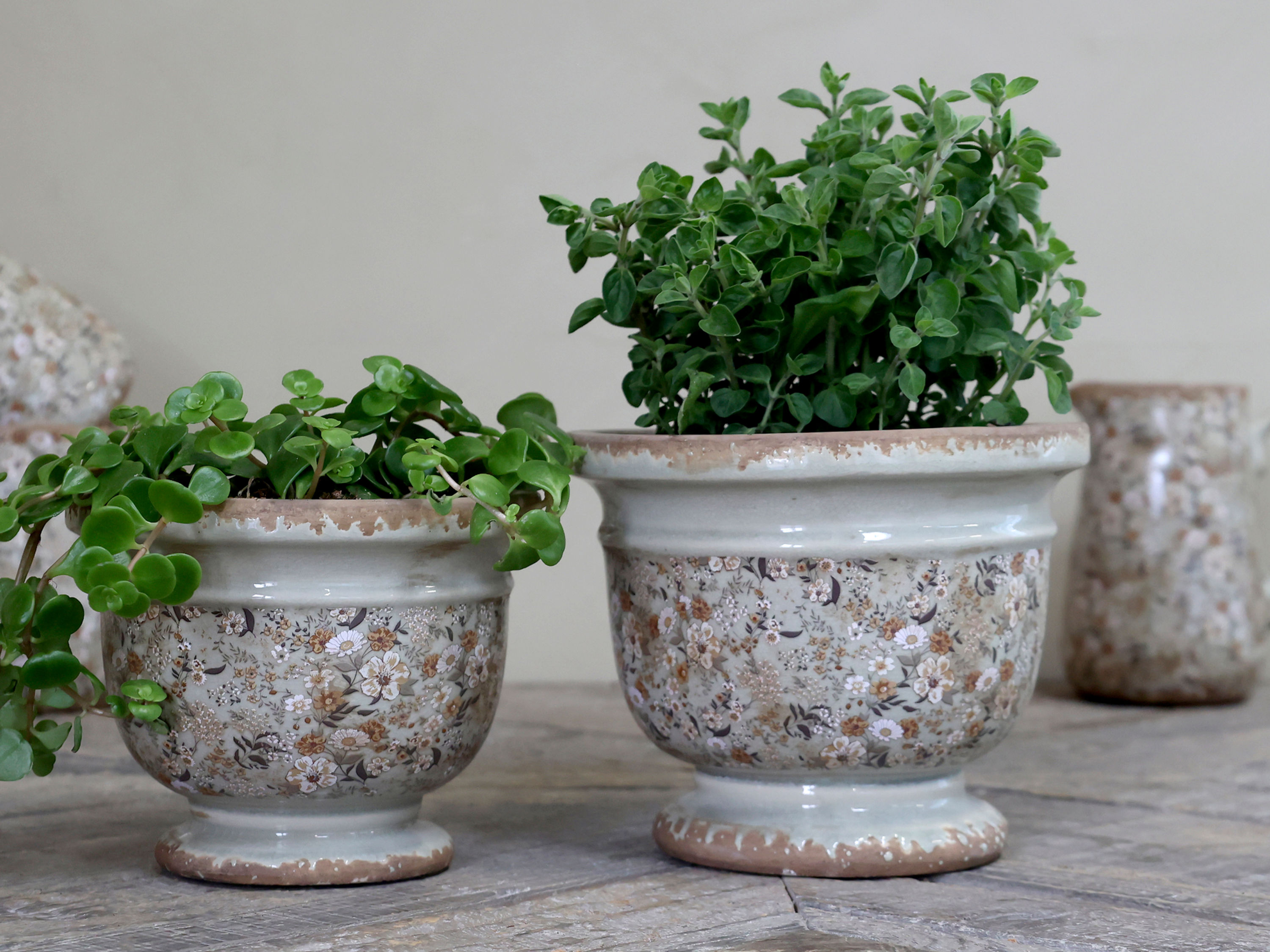 Evry Floral Planter in 2 sizes