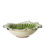 Thumbnail: Ivy Green Melange Bowl