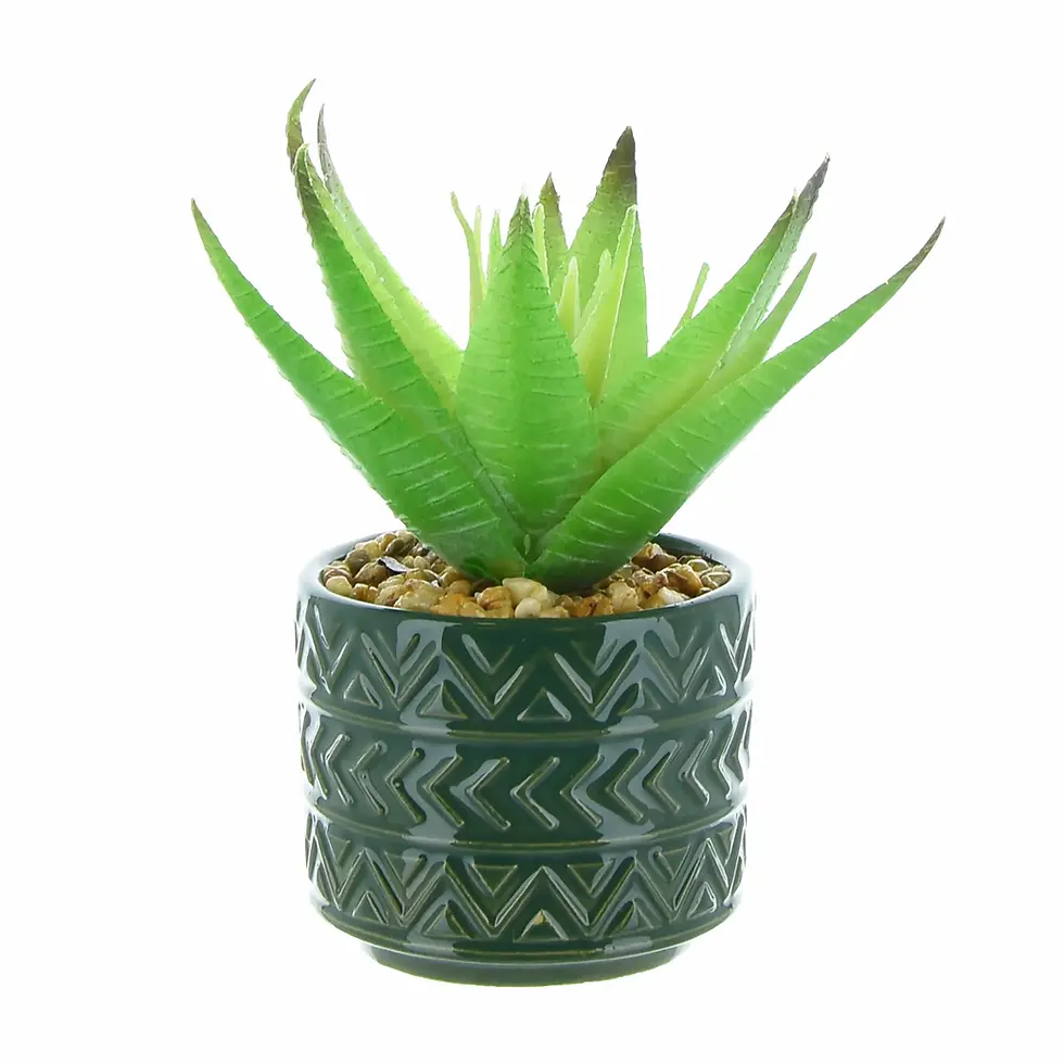 Spikey Succulent in Green Aztec Design Ceramic Pot
