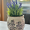 Thumbnail: Bethany Floral Planter 