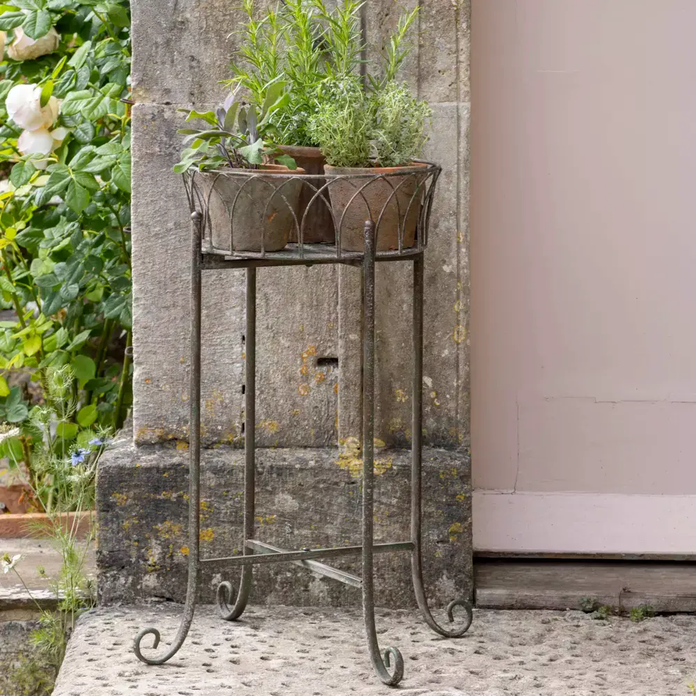 Raised Shallow Planter