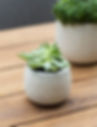 Thumbnail: Luxury Rustic Neutral Home Decor Bundle